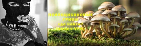 гашик Белоозёрский