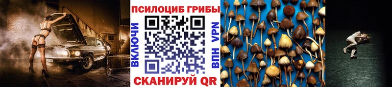 Псилоцибиновые грибы Psilocybe  Красноярск 
